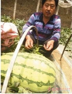 吃瓜说娱乐大西瓜,大西瓜带你领略娱乐圈新鲜事