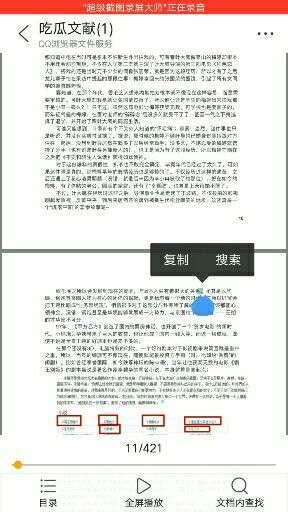 娱乐圈吃瓜pdf,PDF文件深度解析