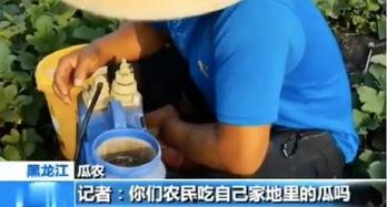 娱乐吃瓜直播怎样加入